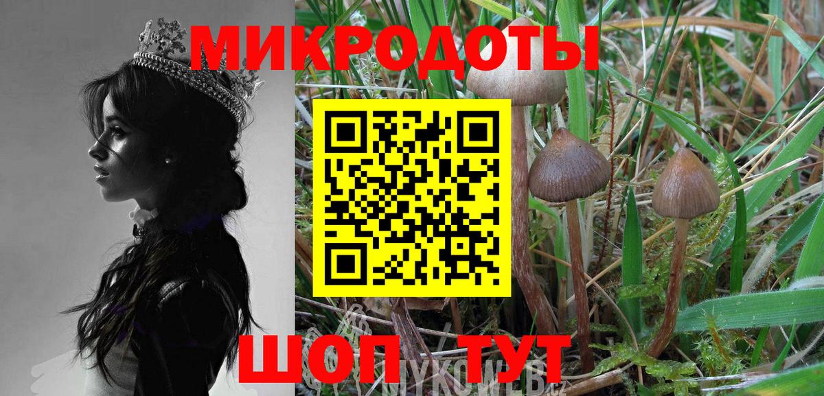 Псилоцибиновые грибы MAGIC MUSHROOMS  Вход с VPN  Тамбов 