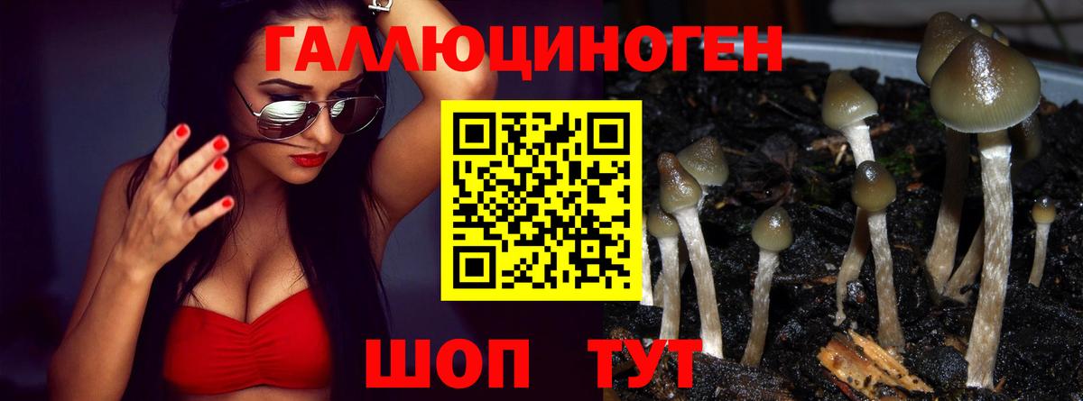 Галлюциногенные грибы Cubensis Тамбов